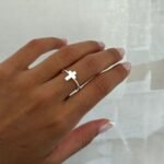 ANLI-0034